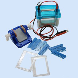 垂直電泳槽 DYCZ-24DN