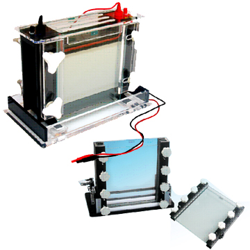 雙垂直電泳槽 JY-SCZ8