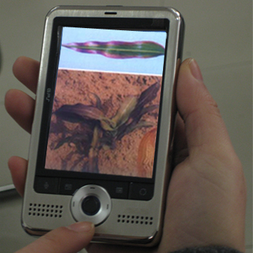 �y���䷽ʩ����Ϣ��ԃ ZWY-1