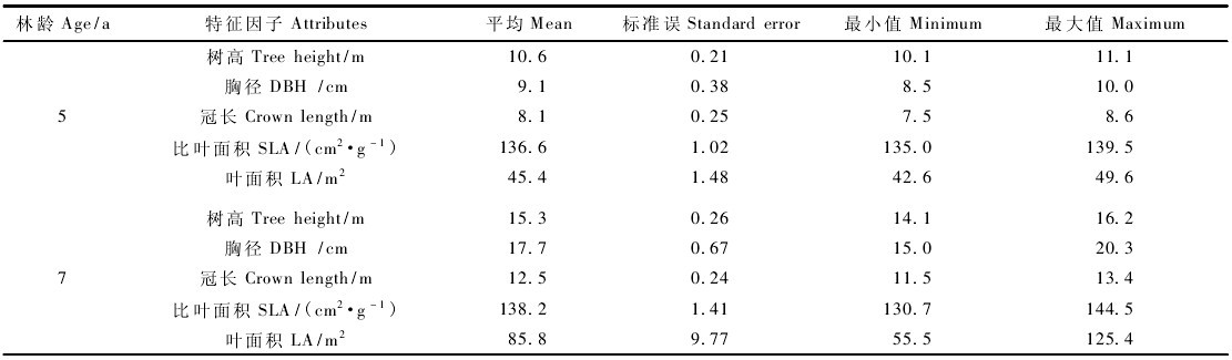 表1 歐美楊107楊林帶的樹(shù)木及樹(shù)冠特征