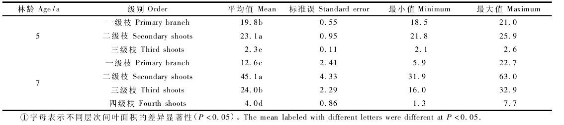 表 3 不同級(jí)別枝的葉面積