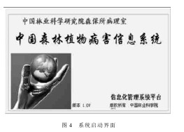 �D4 ϵ�y(t��ng)���ӽ���