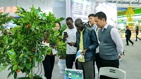 r(nng)ͼg(sh)ɹõˬF(xin)L͵P(gun)עcڴ