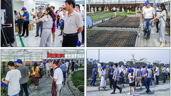 組織與會代表觀摩了杭州蕭山現(xiàn)代農(nóng)業(yè)示范園基地