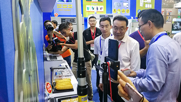 Ǹ˾L(zhng)w(yn)r(nng)N¼g(sh)