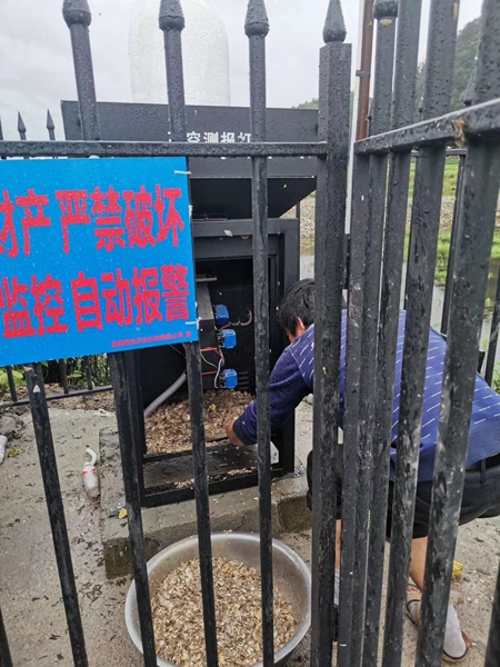 機器誘捕烘干后的蟲體(部分)