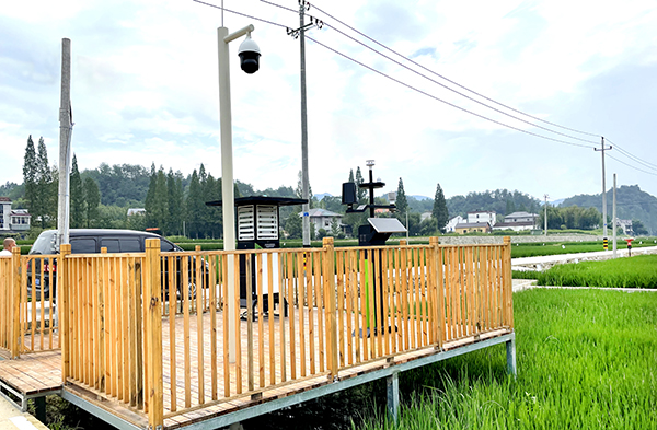 臨安太陽(yáng)鎮(zhèn)數(shù)字化高標(biāo)準(zhǔn)農(nóng)田實(shí)景圖