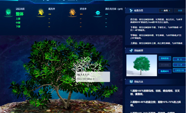 ơϷNw÷r(nng)B(yng)÷