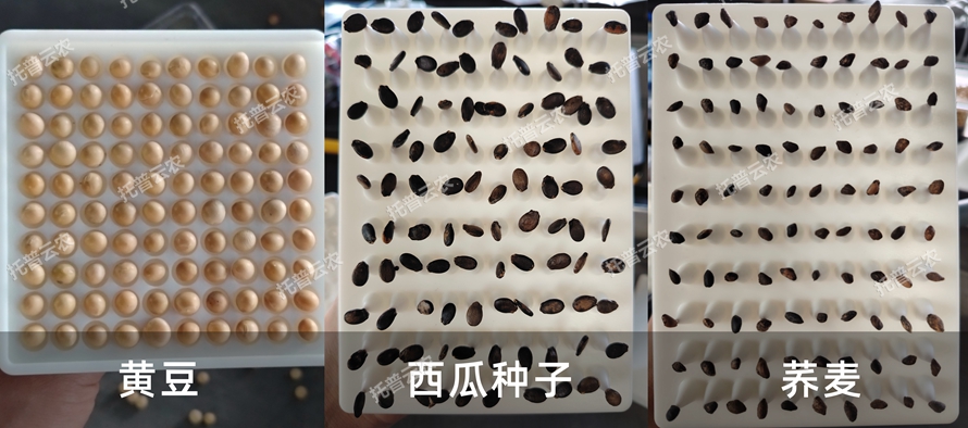 TP-SZC-50多功能真空數(shù)種置床臺(tái)