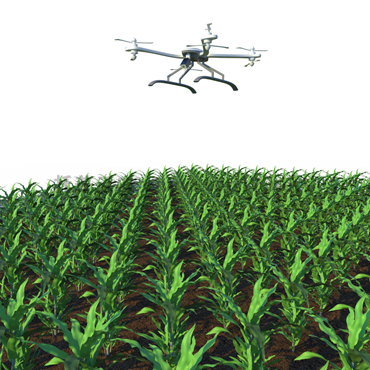 田間無人機式高通量植物表型采集分析平臺 TP-GTL-AIR