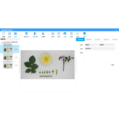 ֲͷܛ͑ܛ TP-AI Pheno L