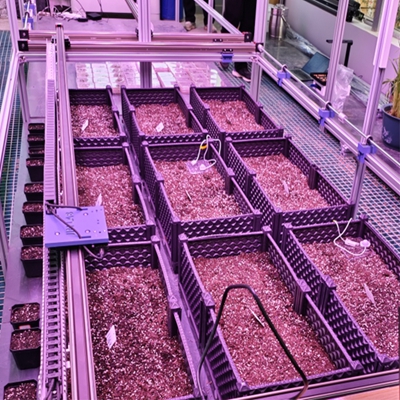 ҃ȷNȰl(f)ͱO(jin)yϵy(tng) TPN-SeedPhy